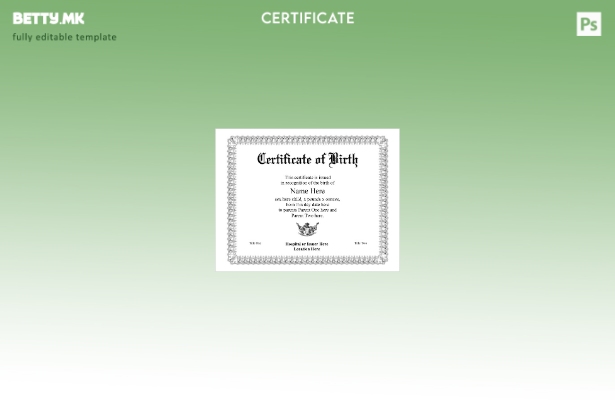 модерен стил Шаблон за препознавање на раѓање од болница